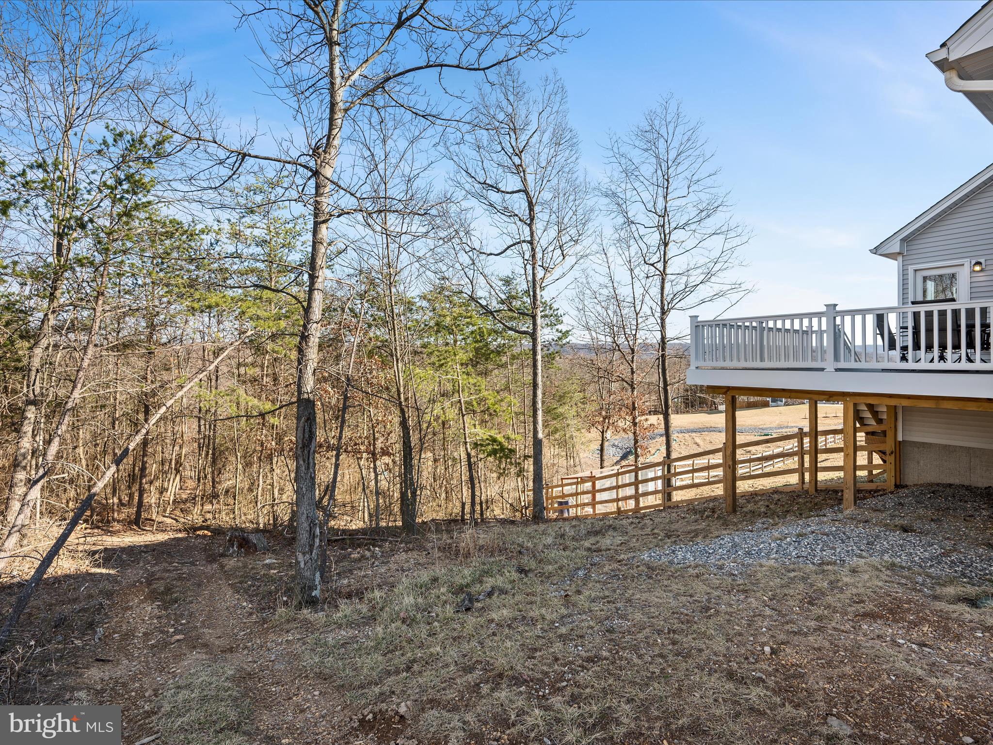 CHESTNUT HILL ESTATES - Residential