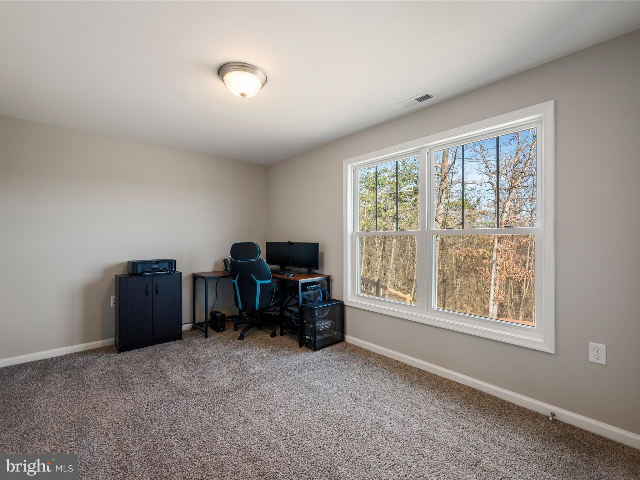 CHESTNUT HILL ESTATES - Residential