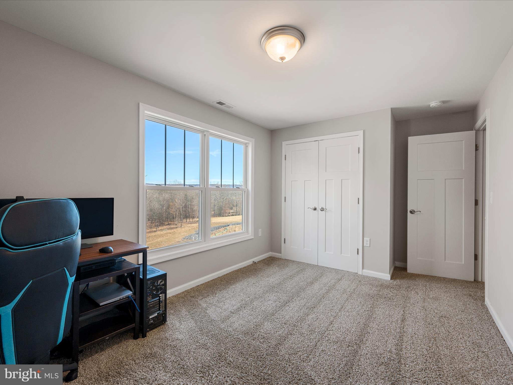 CHESTNUT HILL ESTATES - Residential