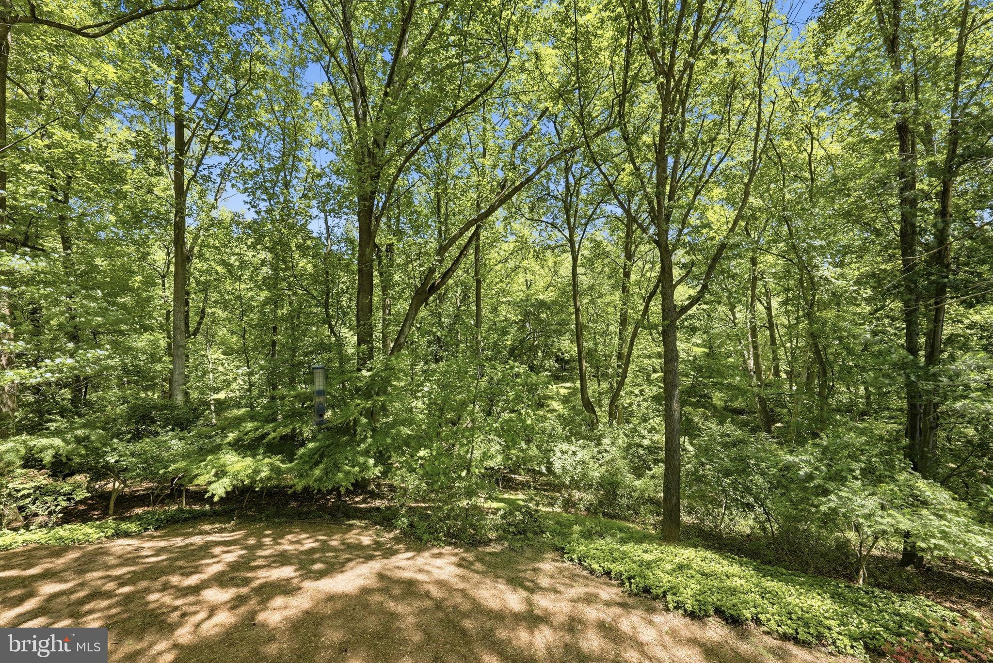 TANGLEWOOD - Residential
