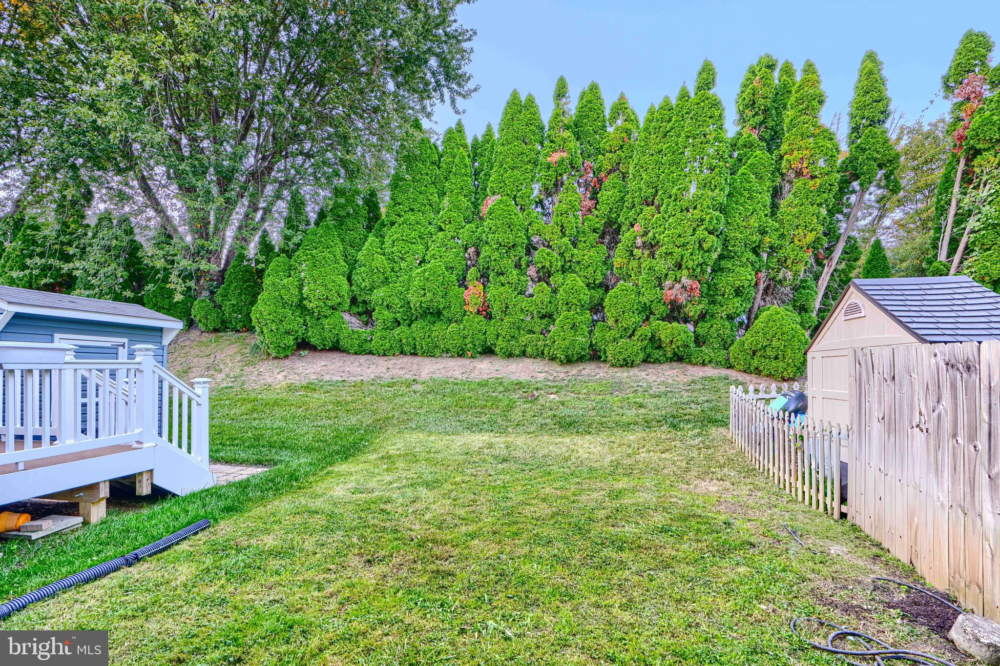 PINEDALE WOODS - Residential Lease