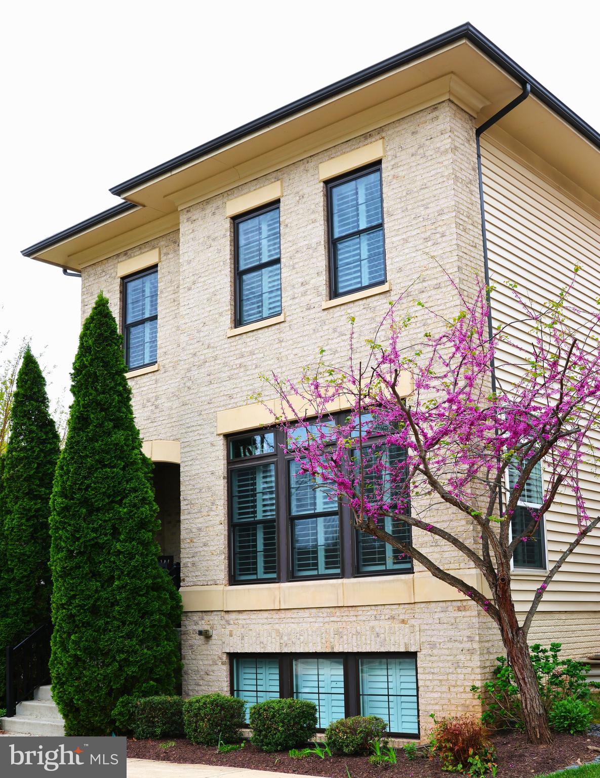20405 SAVIN HILL DRIVE