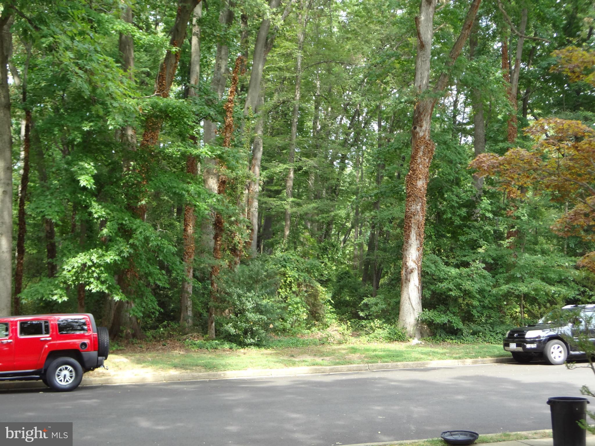 PINEWOOD LAKE - Residential