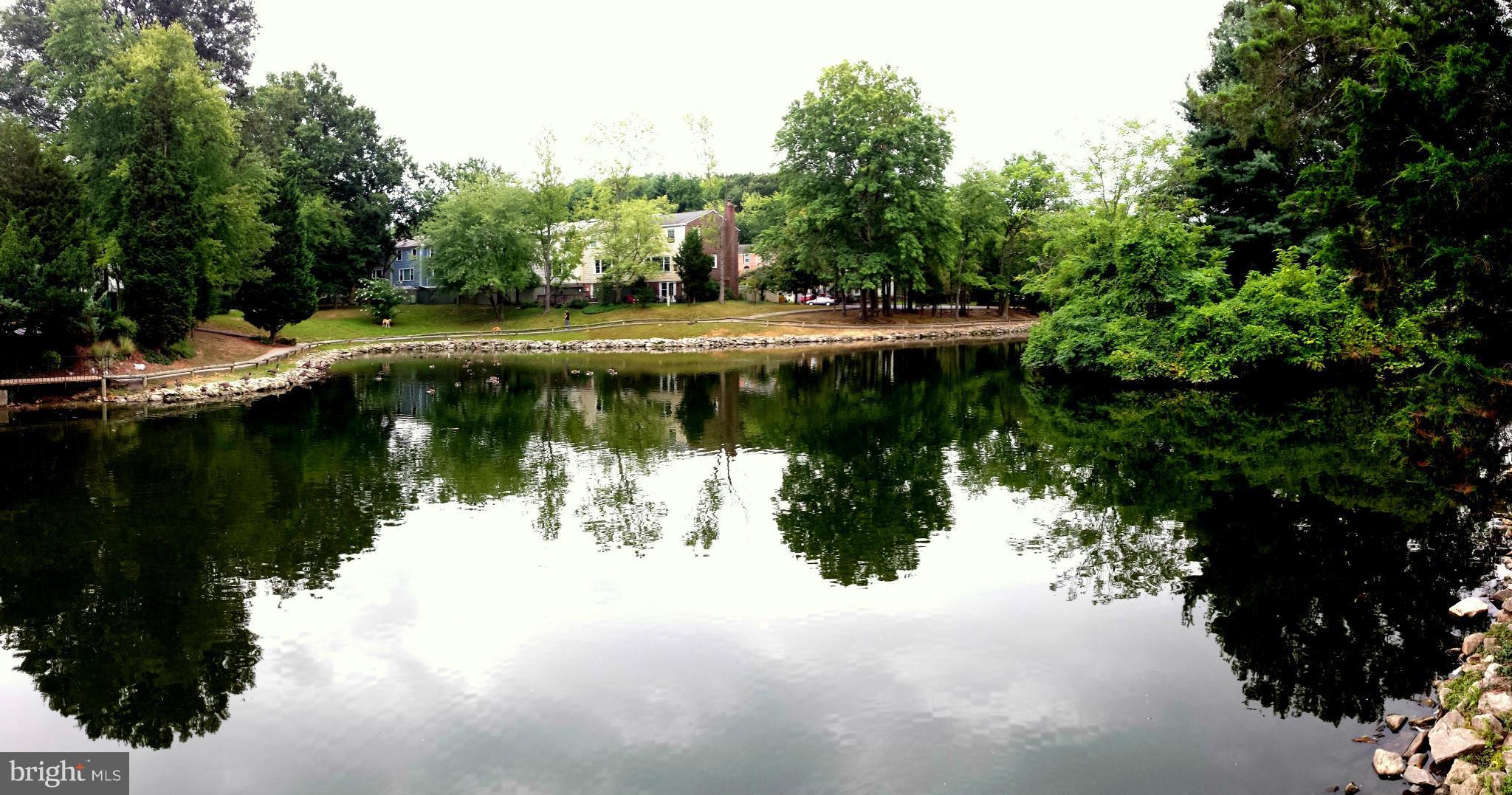 PINEWOOD LAKE - Residential