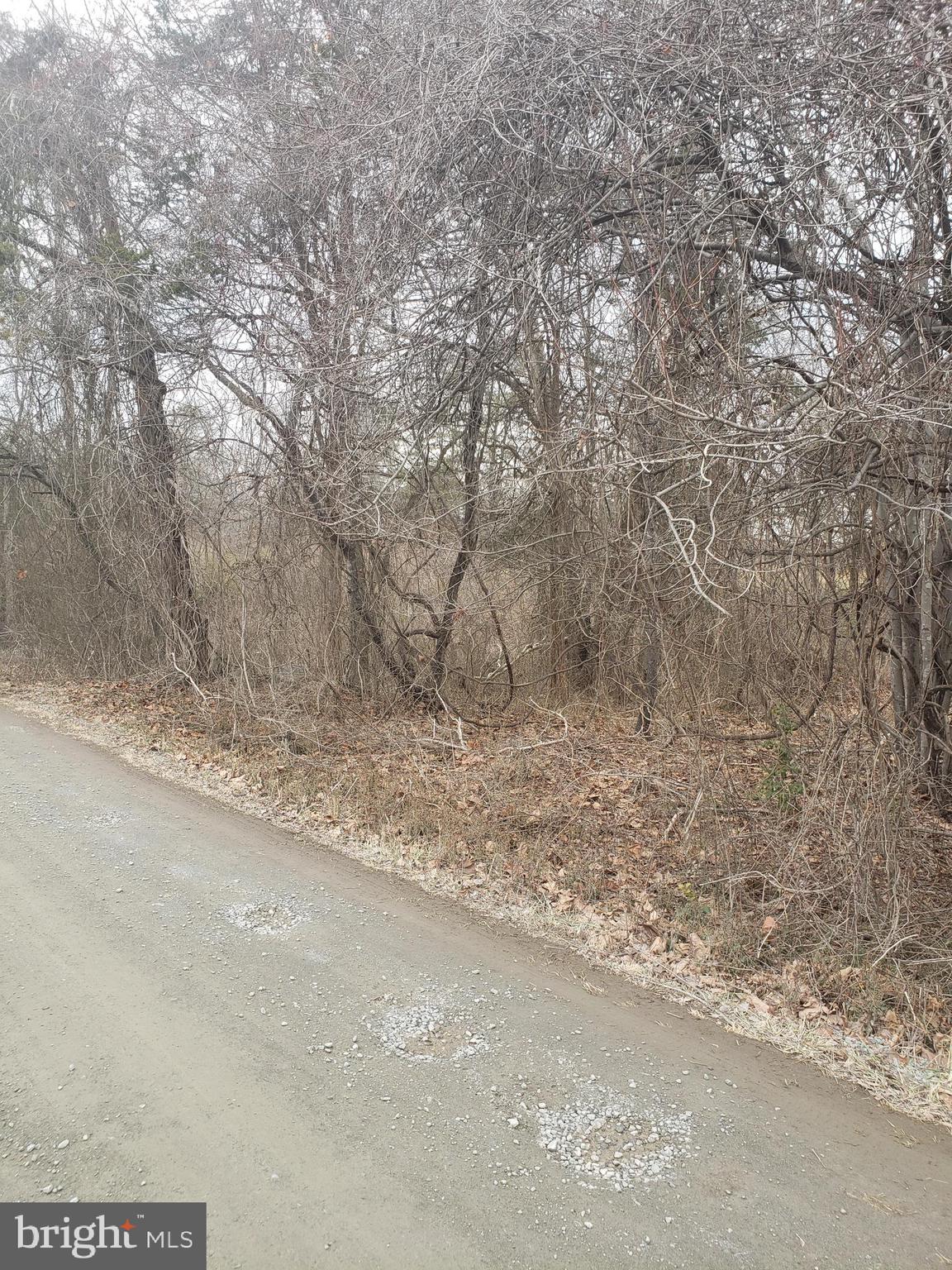 AMISSVILLE - Residential