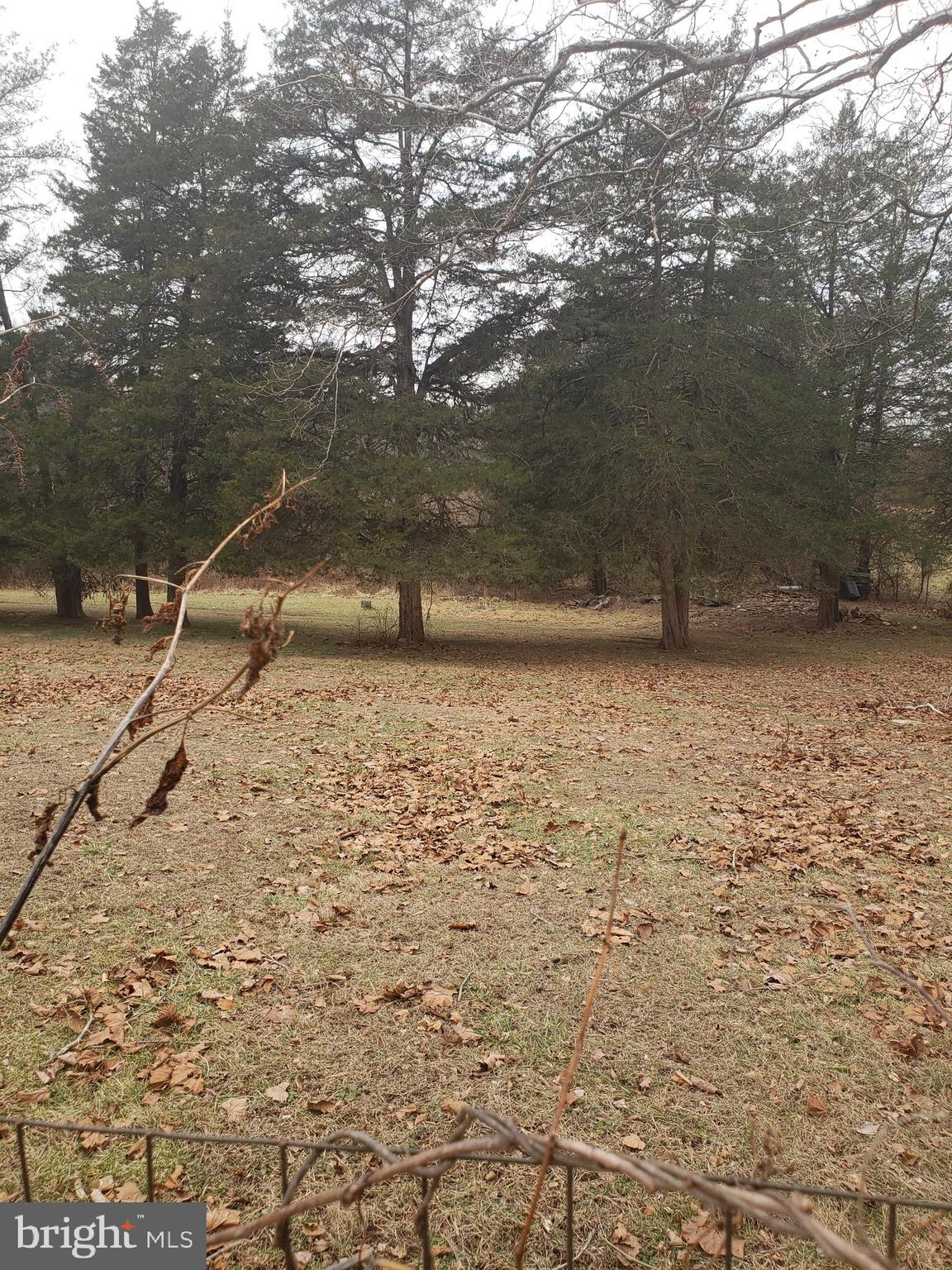 AMISSVILLE - Residential