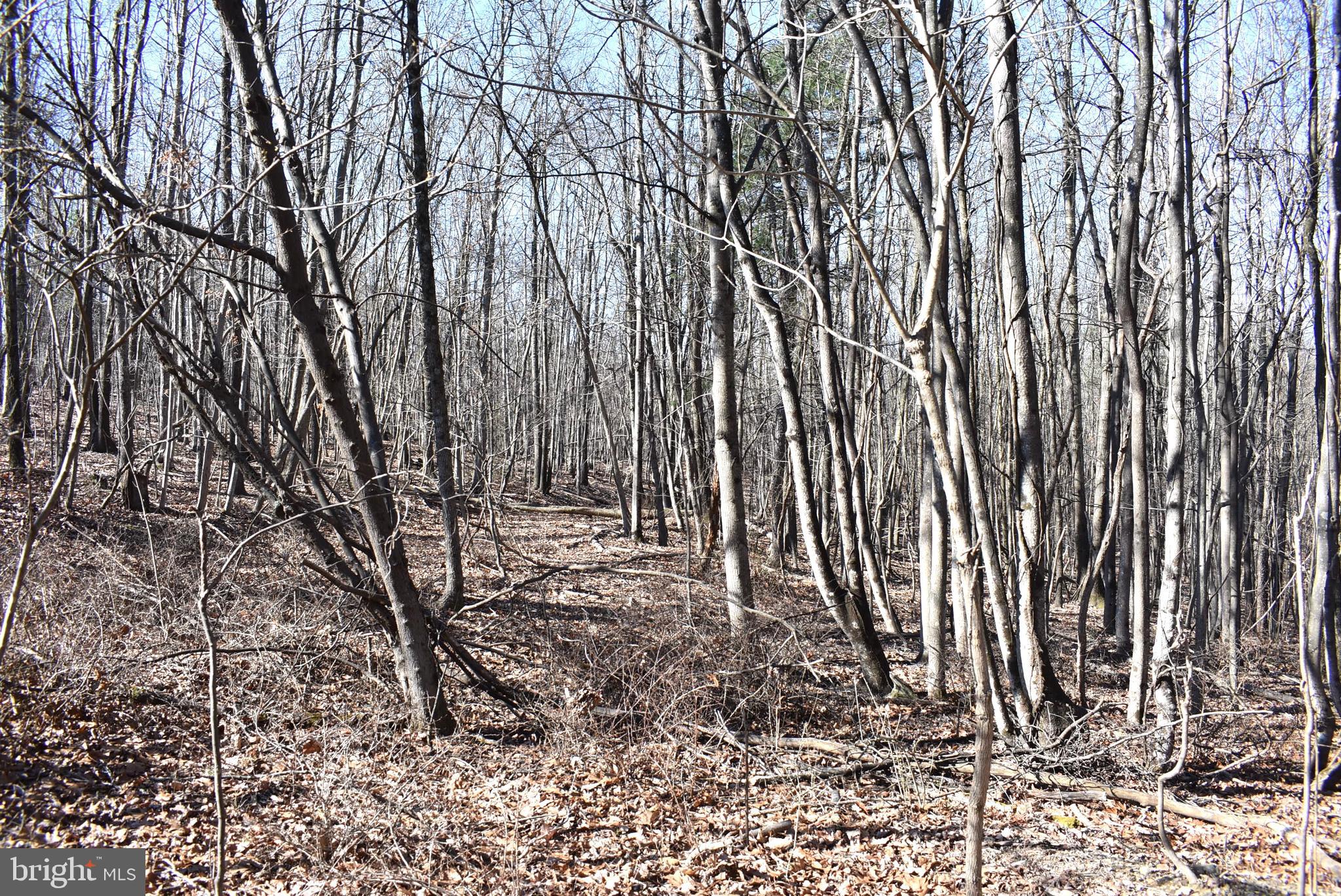 SABLE RUN ROAD