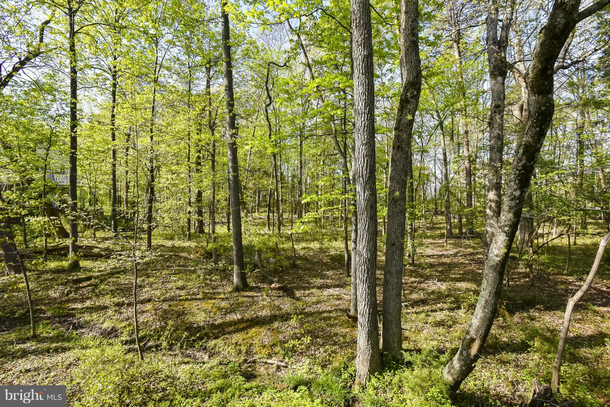 BELMONT COUNTRY CLUB - Residential Lease