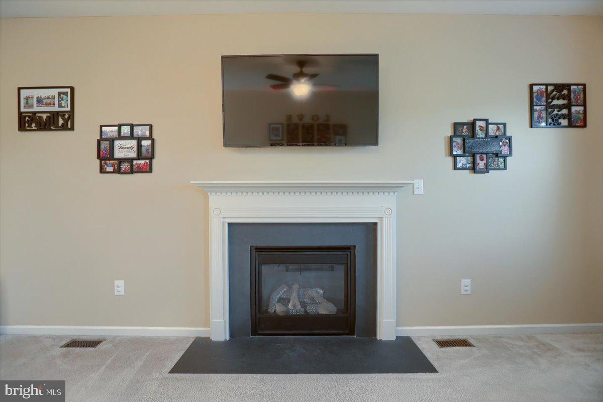 CARRIAGE PARK - Residential