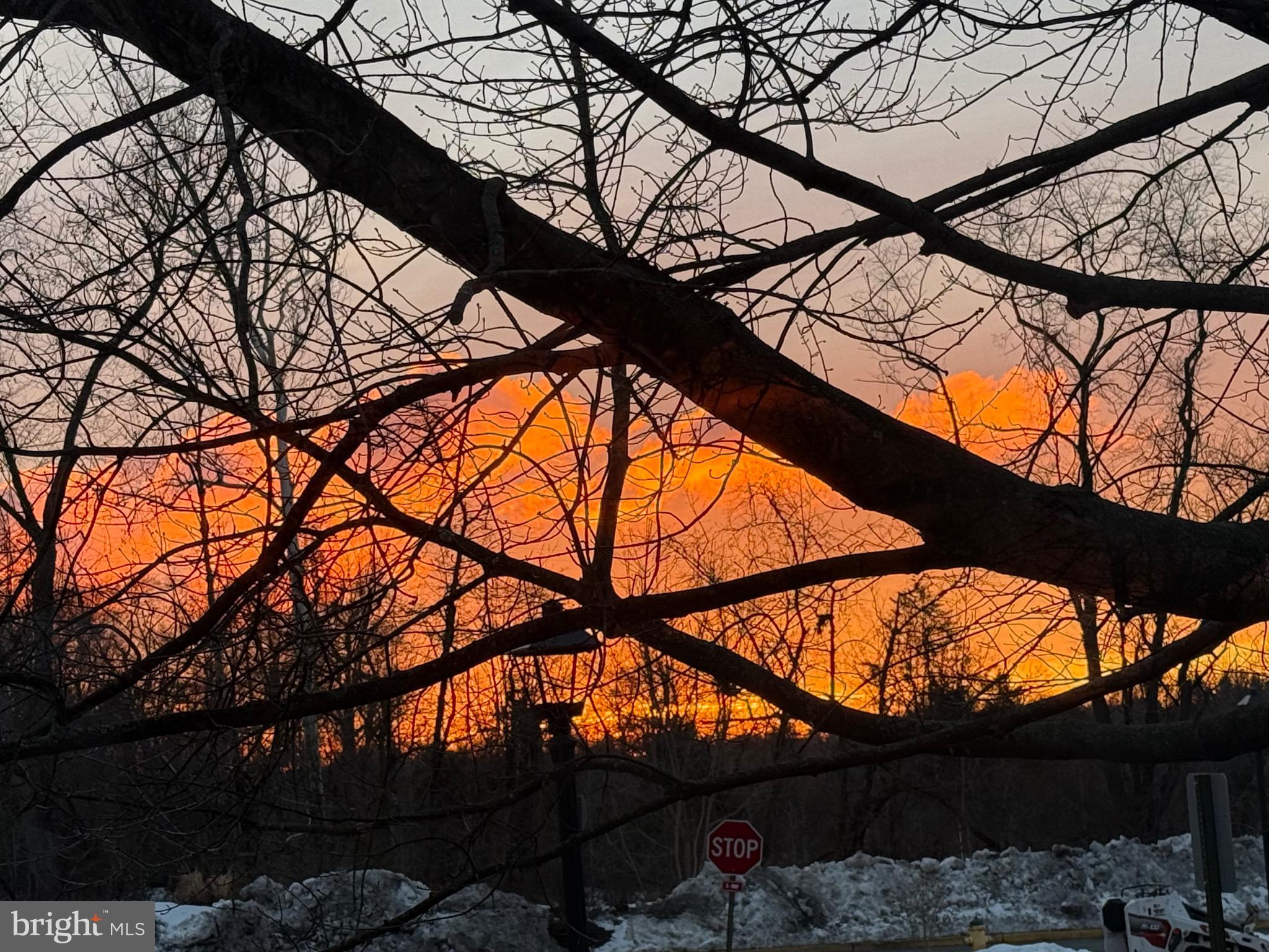 COVENTRY POINTE - Residential