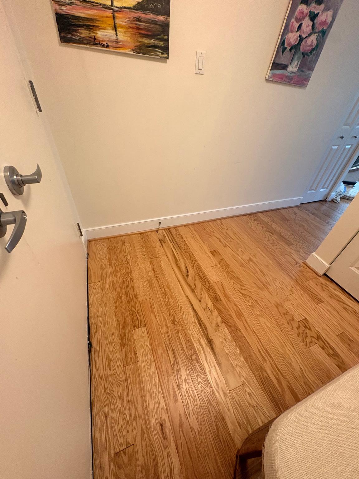 MICA AT SILVER SPRING METRO - Residential