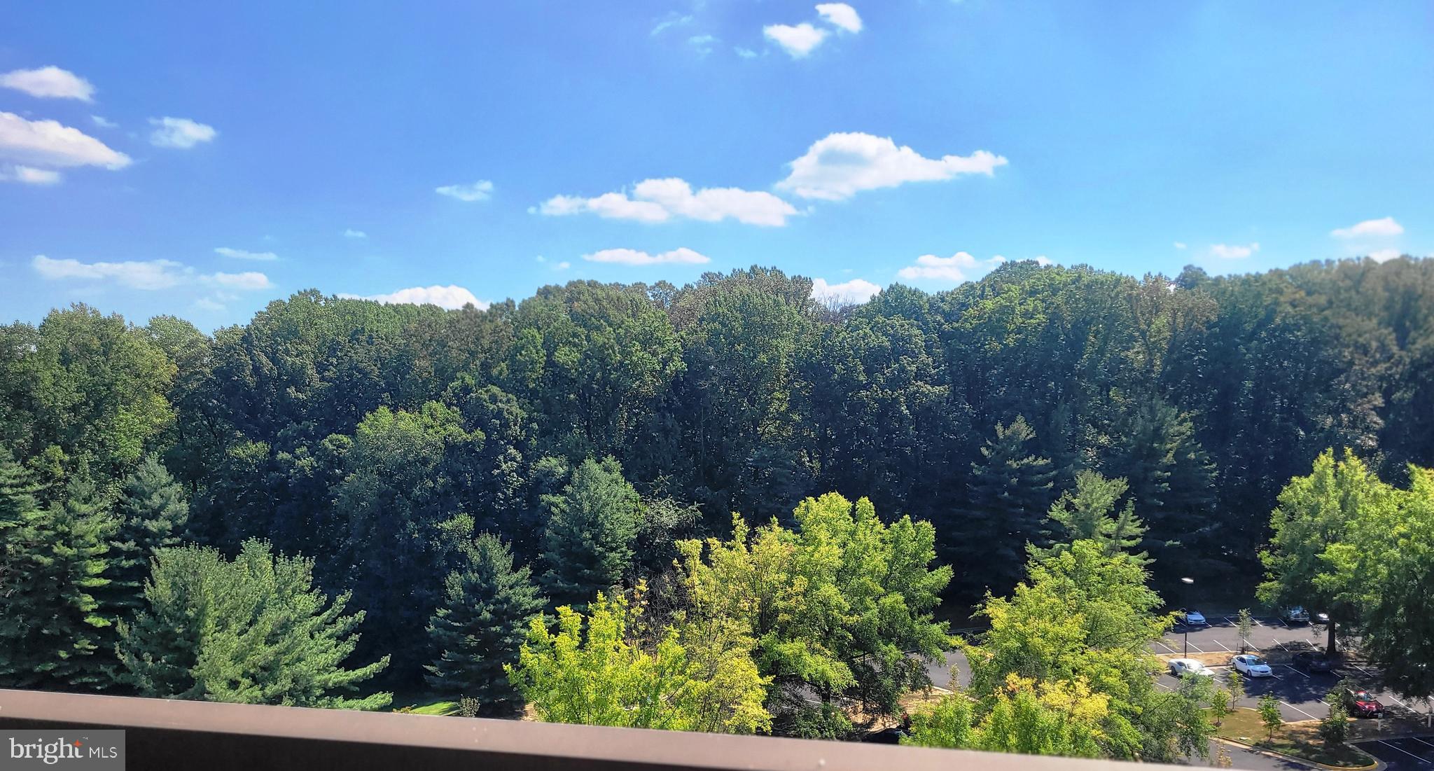 RENAISSANCE AT TYSONS - Residential Lease