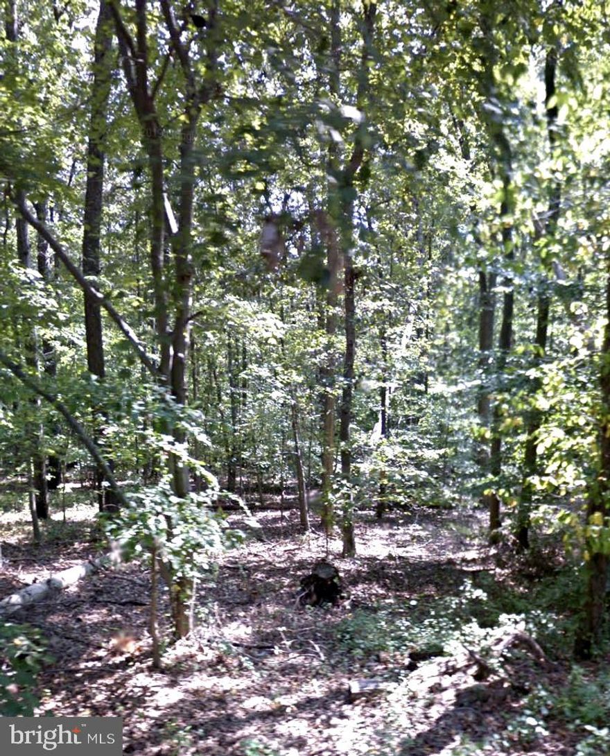 This is the perfect site to build your dream home centrally located in Bowie and near many amenities. The land is located across from Bowie State University and right of MD Route 197. If you want a private home site with all the conveniences of nearby businesses to shop, eat & buy groceries, don’t miss the unique opportunity.