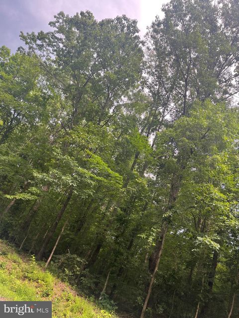 0 MEANDER RUN ROAD LOCUST DALE VA 22948