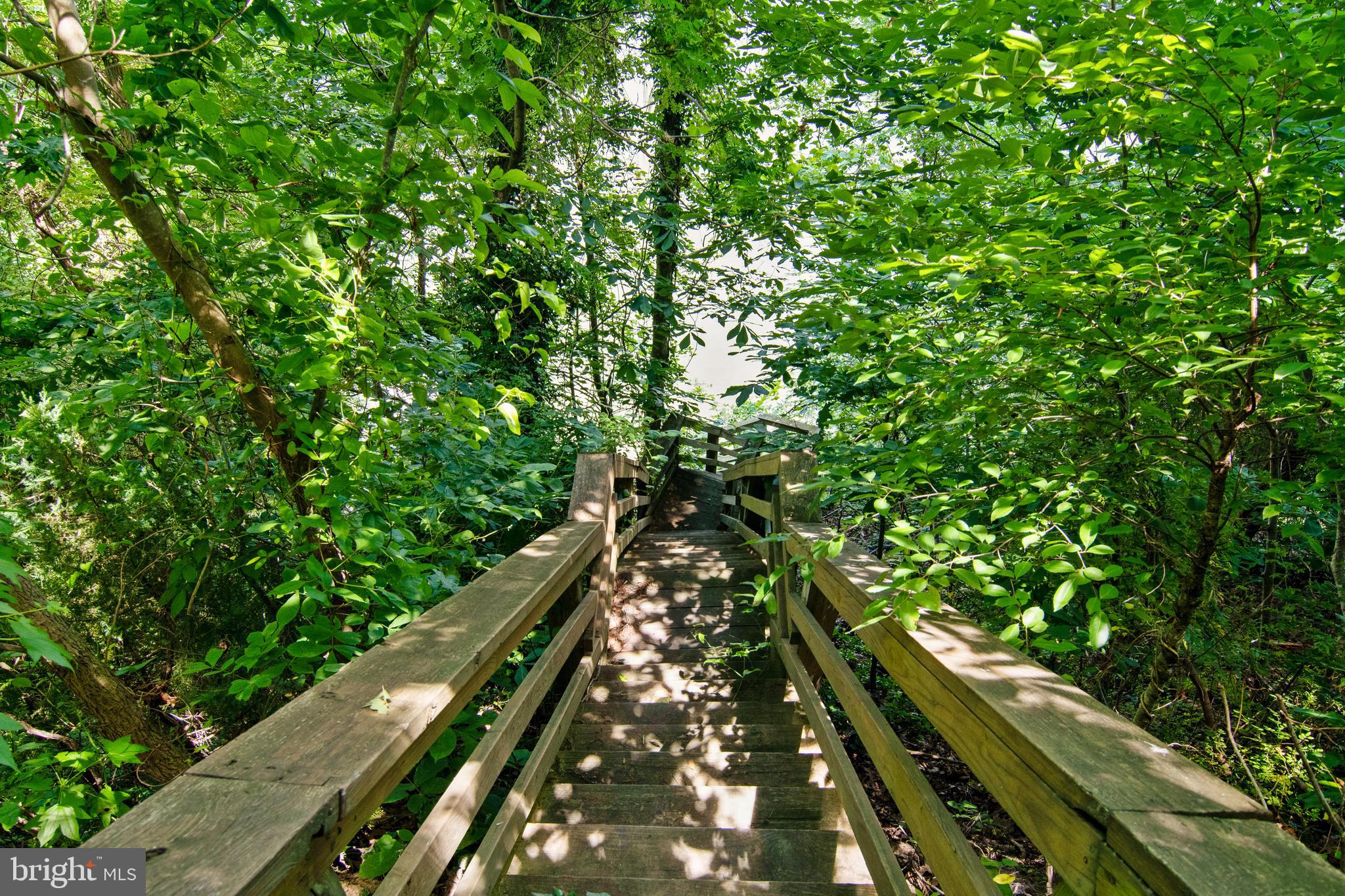 POTOMAC OVERLOOK - Residential