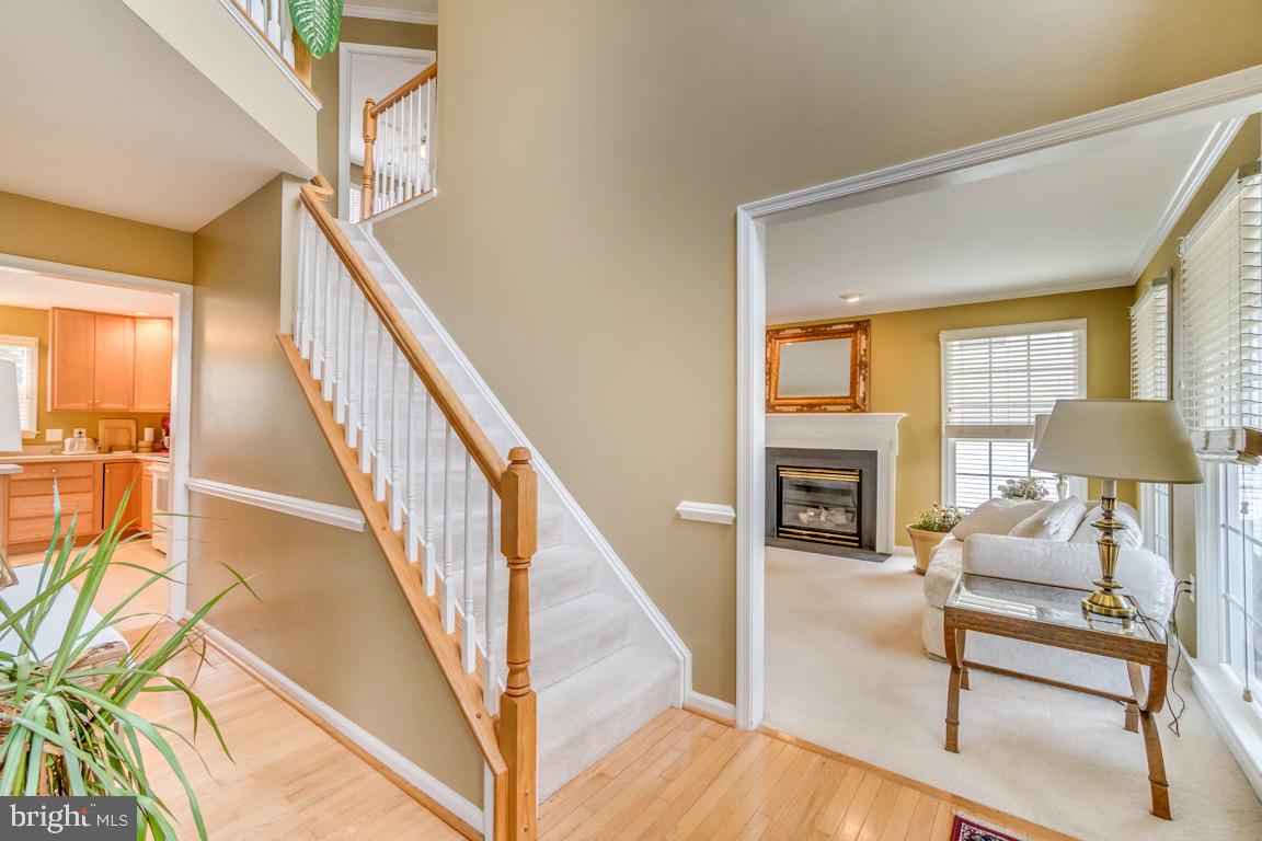 STAFFORD LAKES VILLAGE - Residential