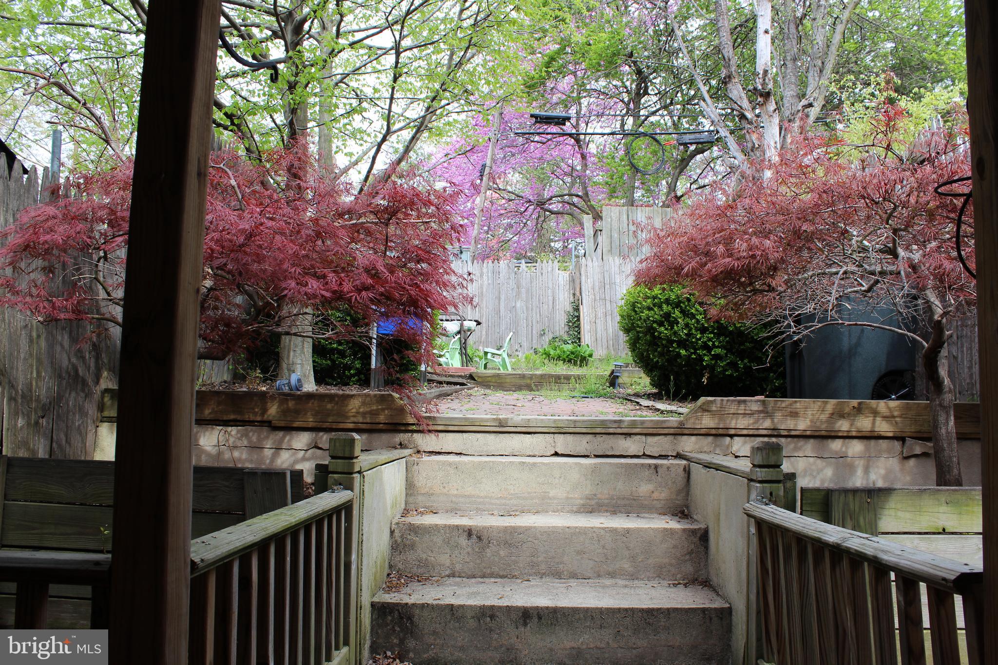 EAST FALLS - Residential Lease