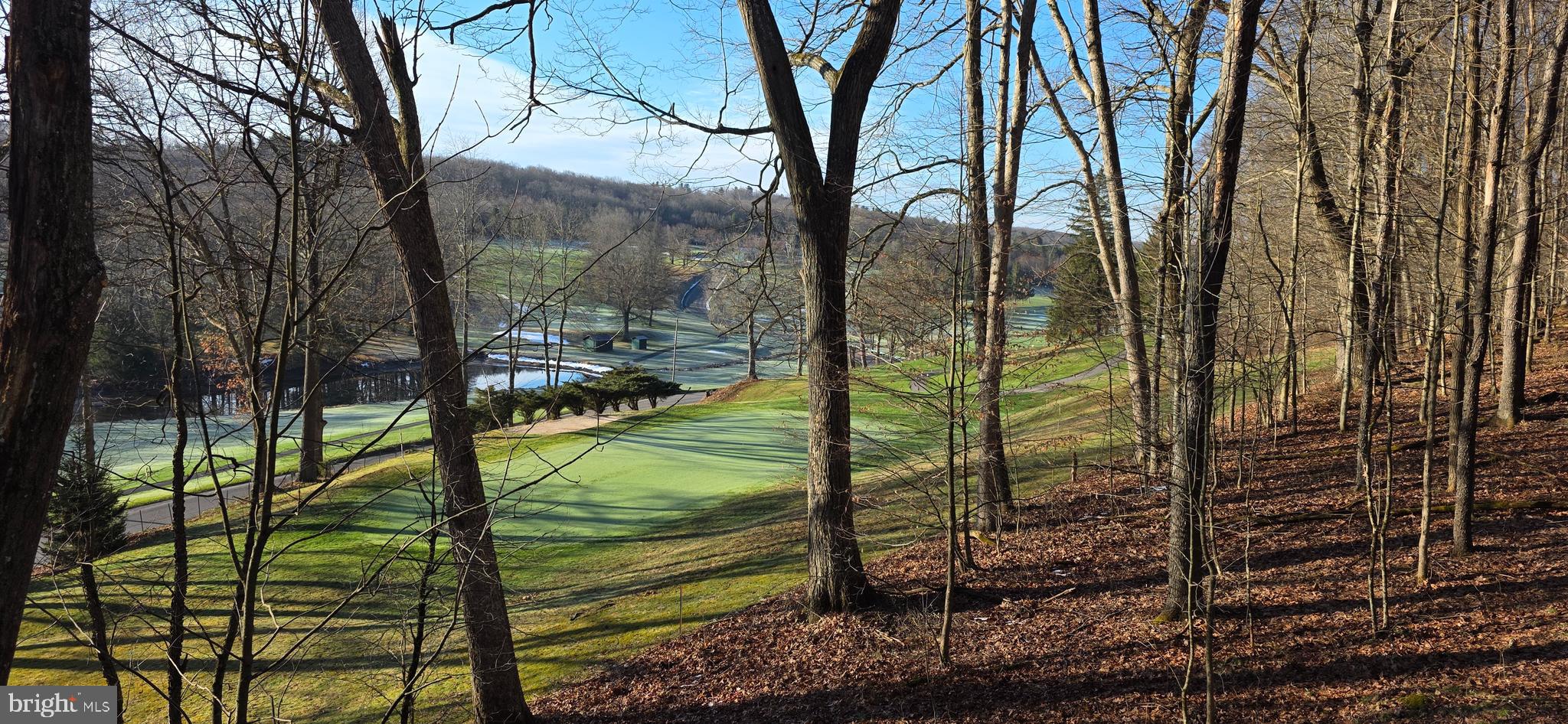 COUNTRY CLUB ACRES - Residential