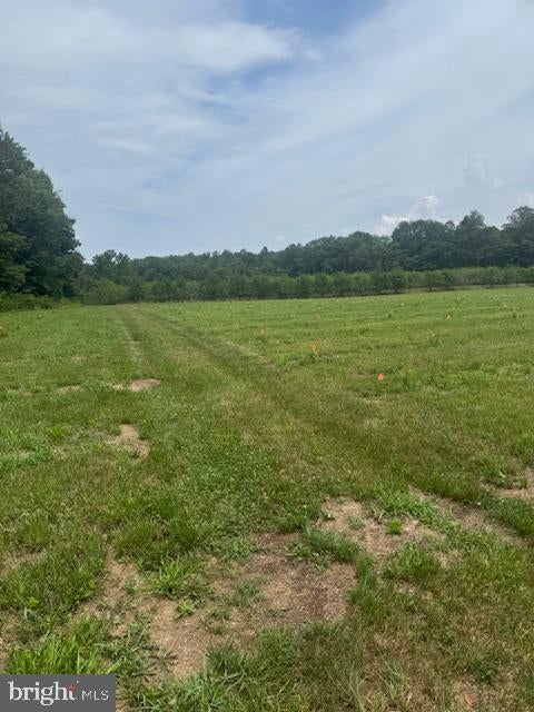 Lot # 10 COLD SPRINGS ST