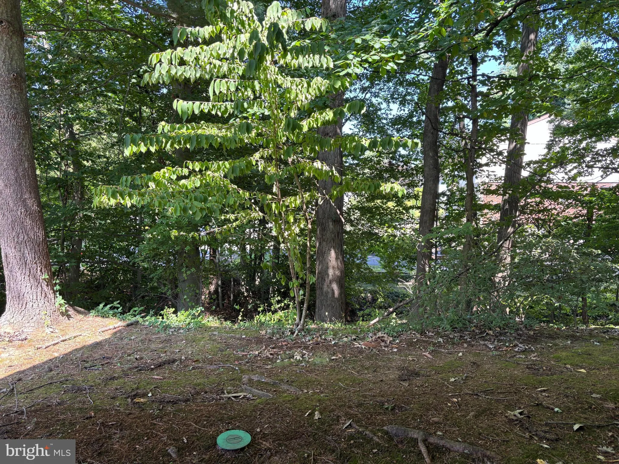 Elkins Park, Pennsylvania 19027, United States, 2 Bedrooms Bedrooms, ,2 BathroomsBathrooms,Residential,Active,192704