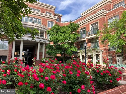 66 FRANKLIN STREET 307 ANNAPOLIS MD 21401