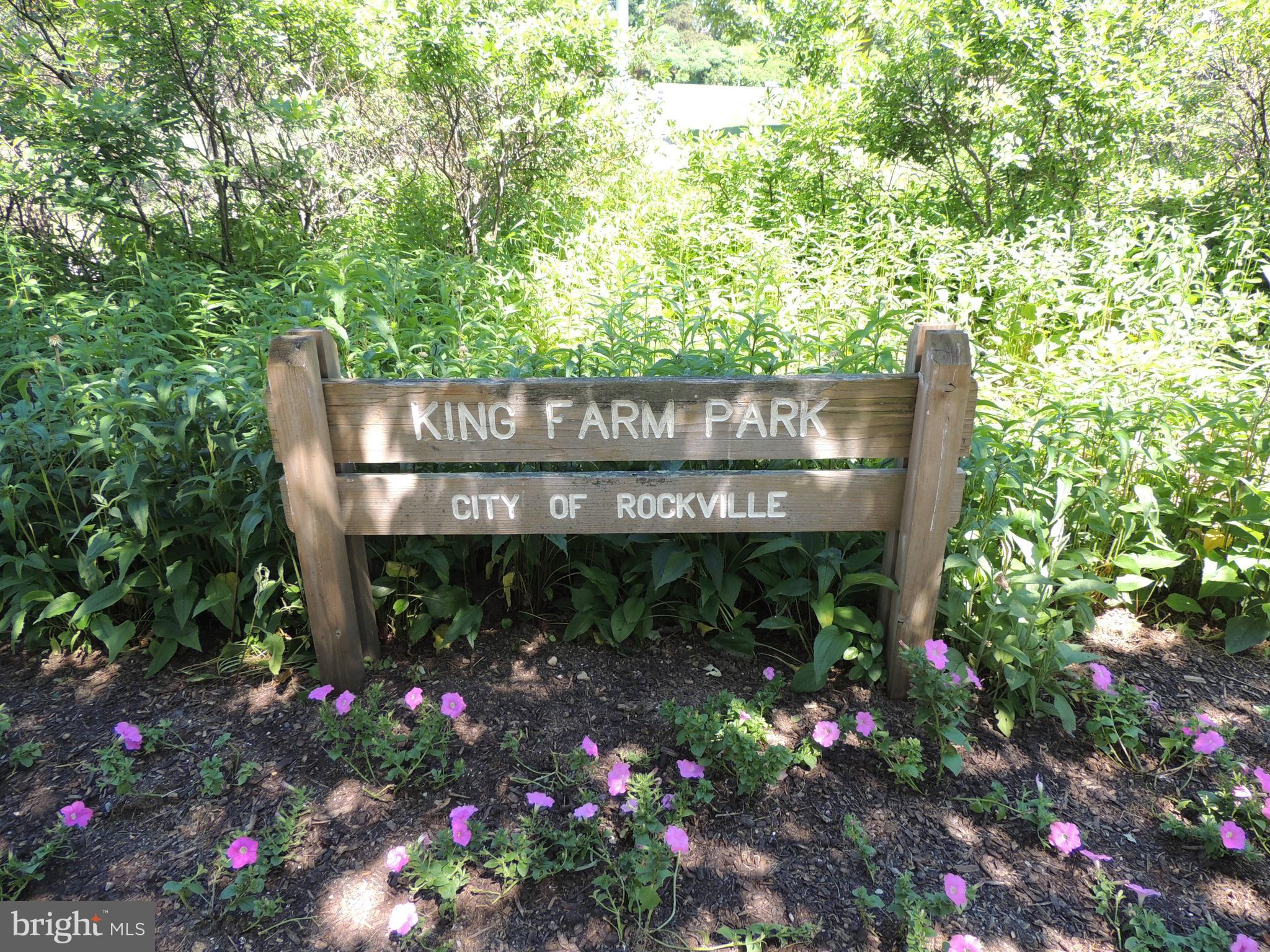 KING FARM - Residential