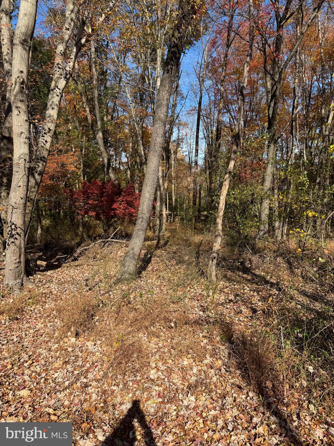 KENTLAND FARMS - Land