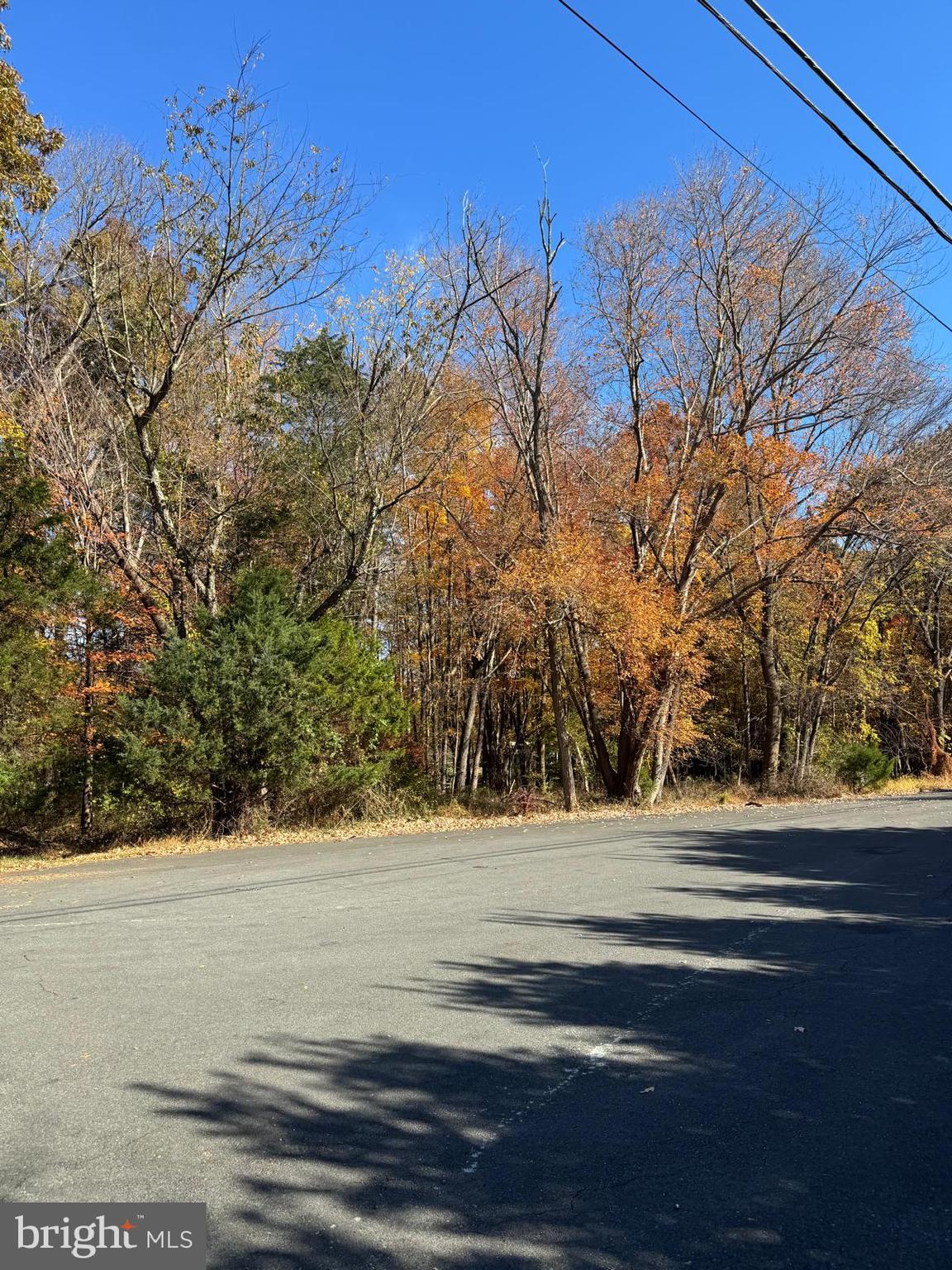 KENTLAND FARMS - Land