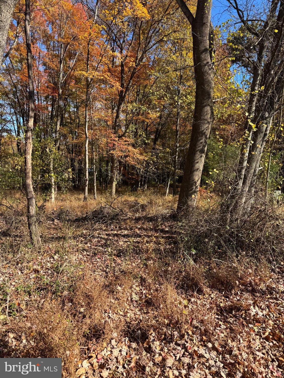 KENTLAND FARMS - Land