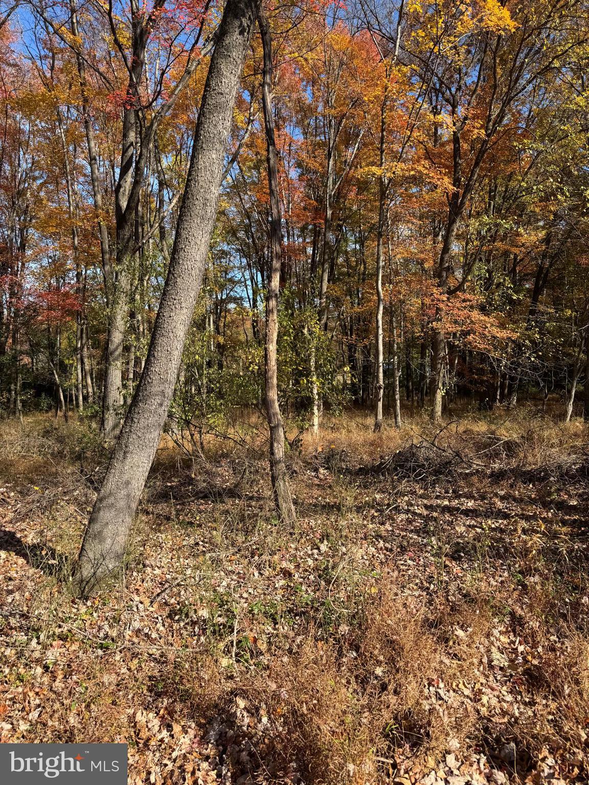 KENTLAND FARMS - Land