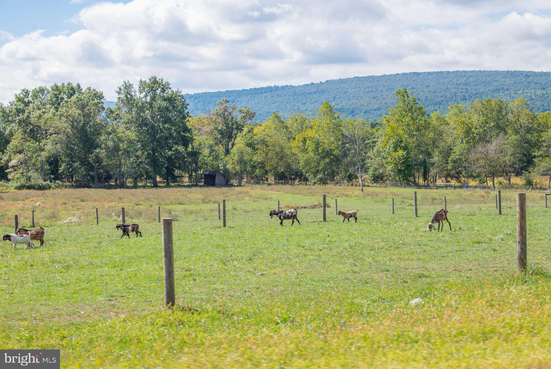 JERMAE ESTATES - Residential