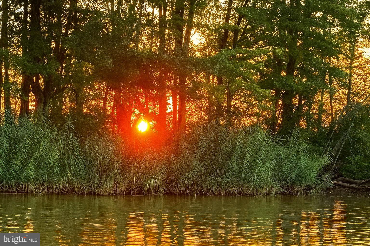 RUMSEY ISLAND - Residential