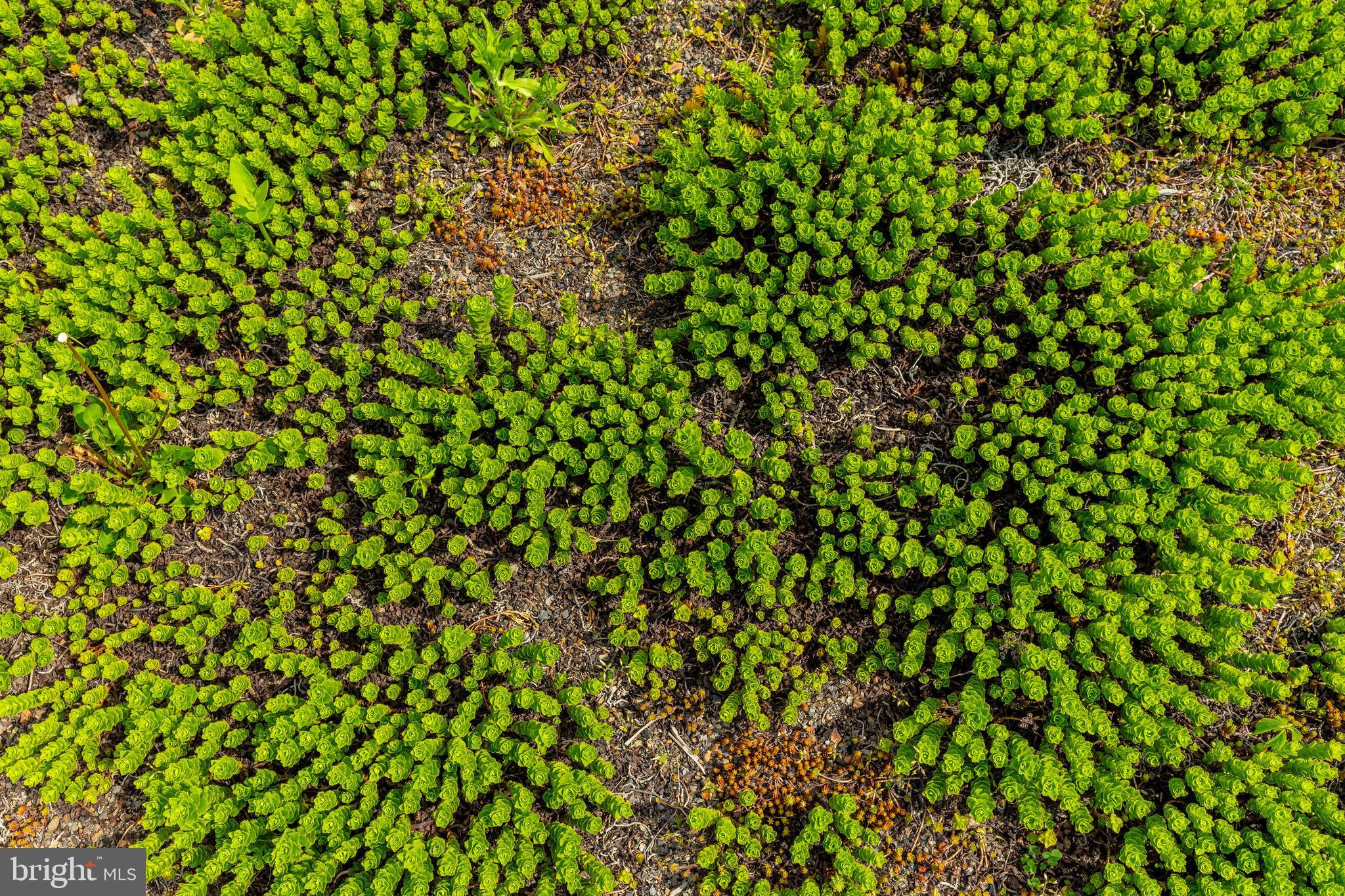 NORTHERN LIBERTIES - Residential