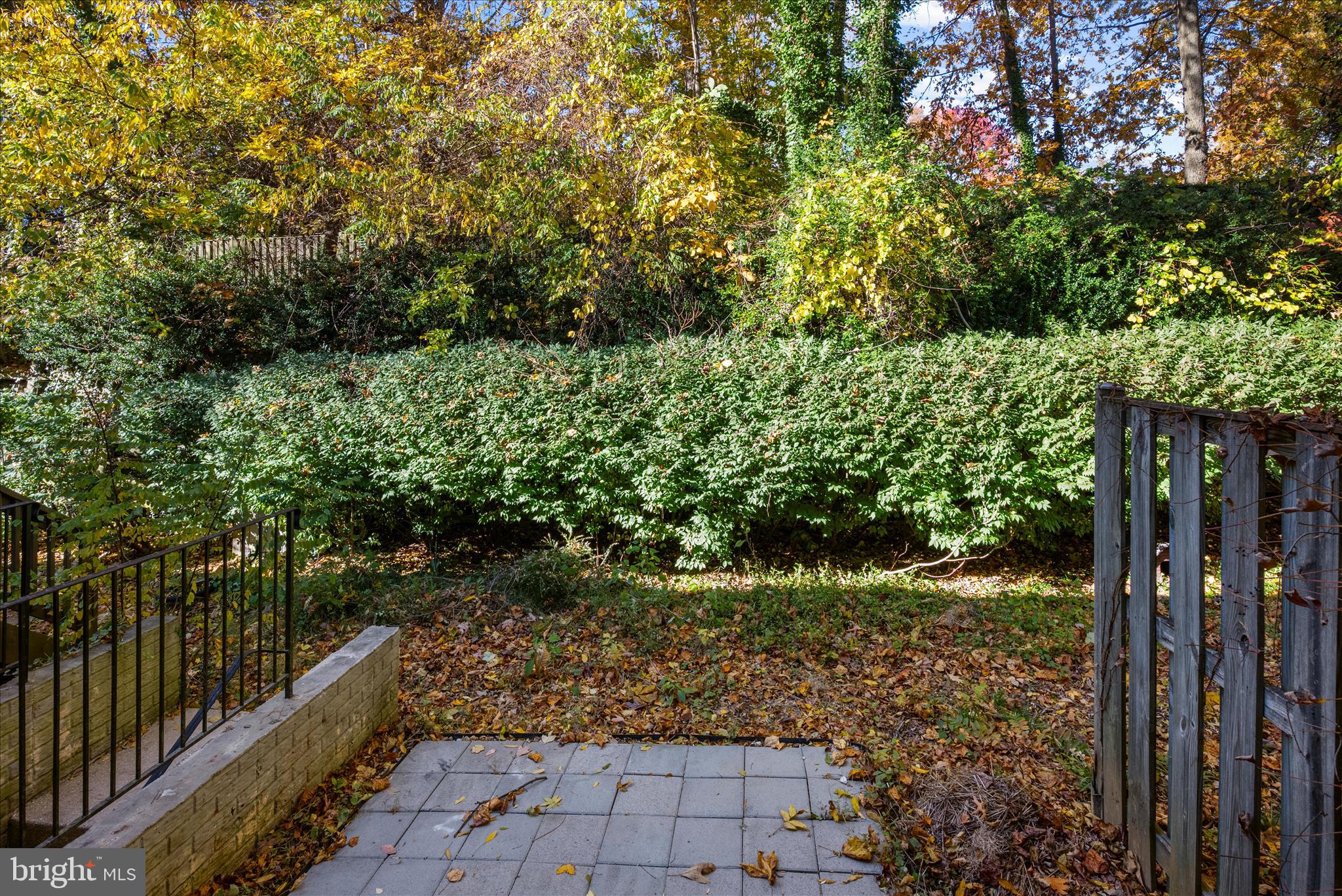 CHESAPEAKE LIGHTHOUSE - Residential