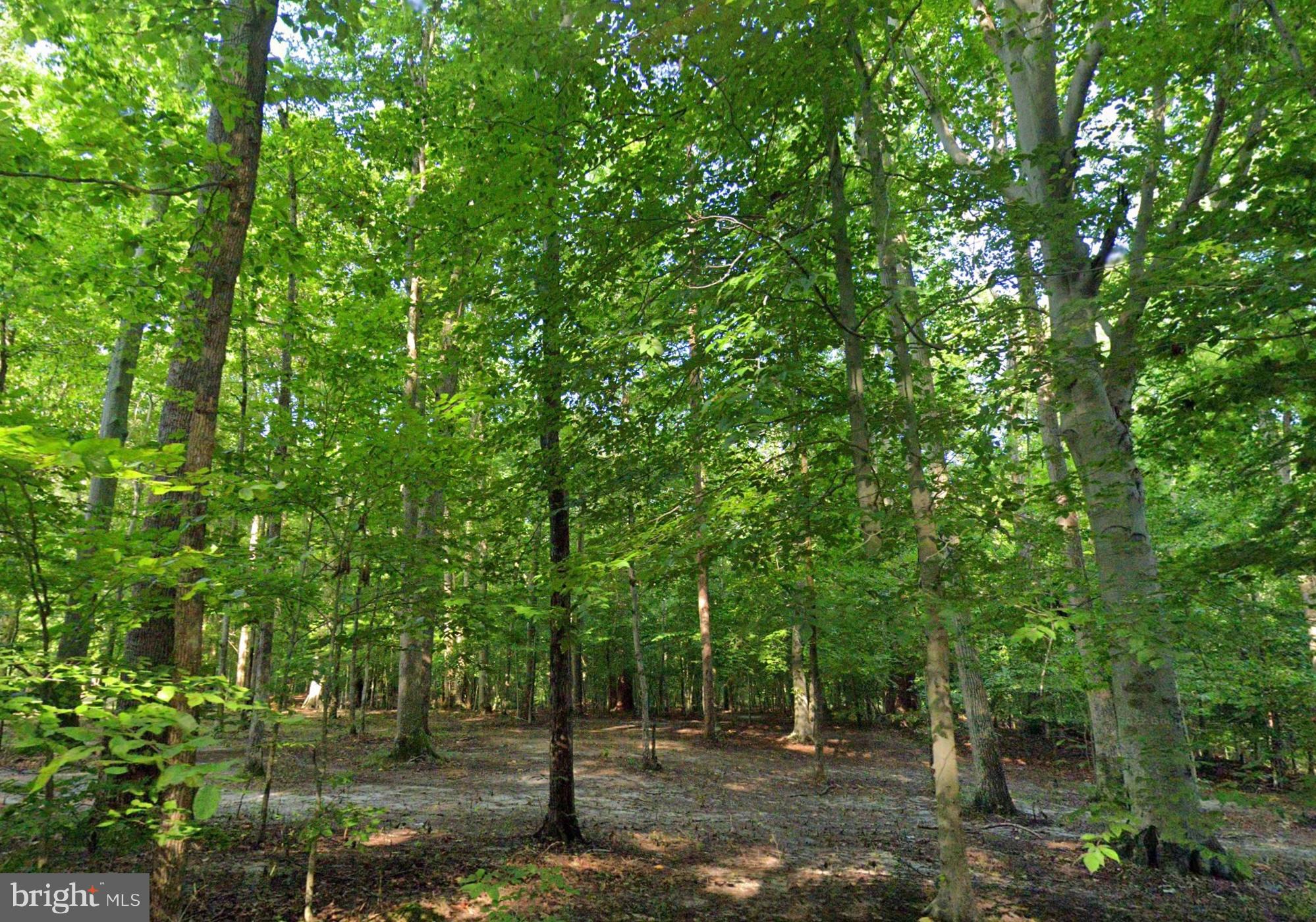 131 BRICK CHURCH ROAD