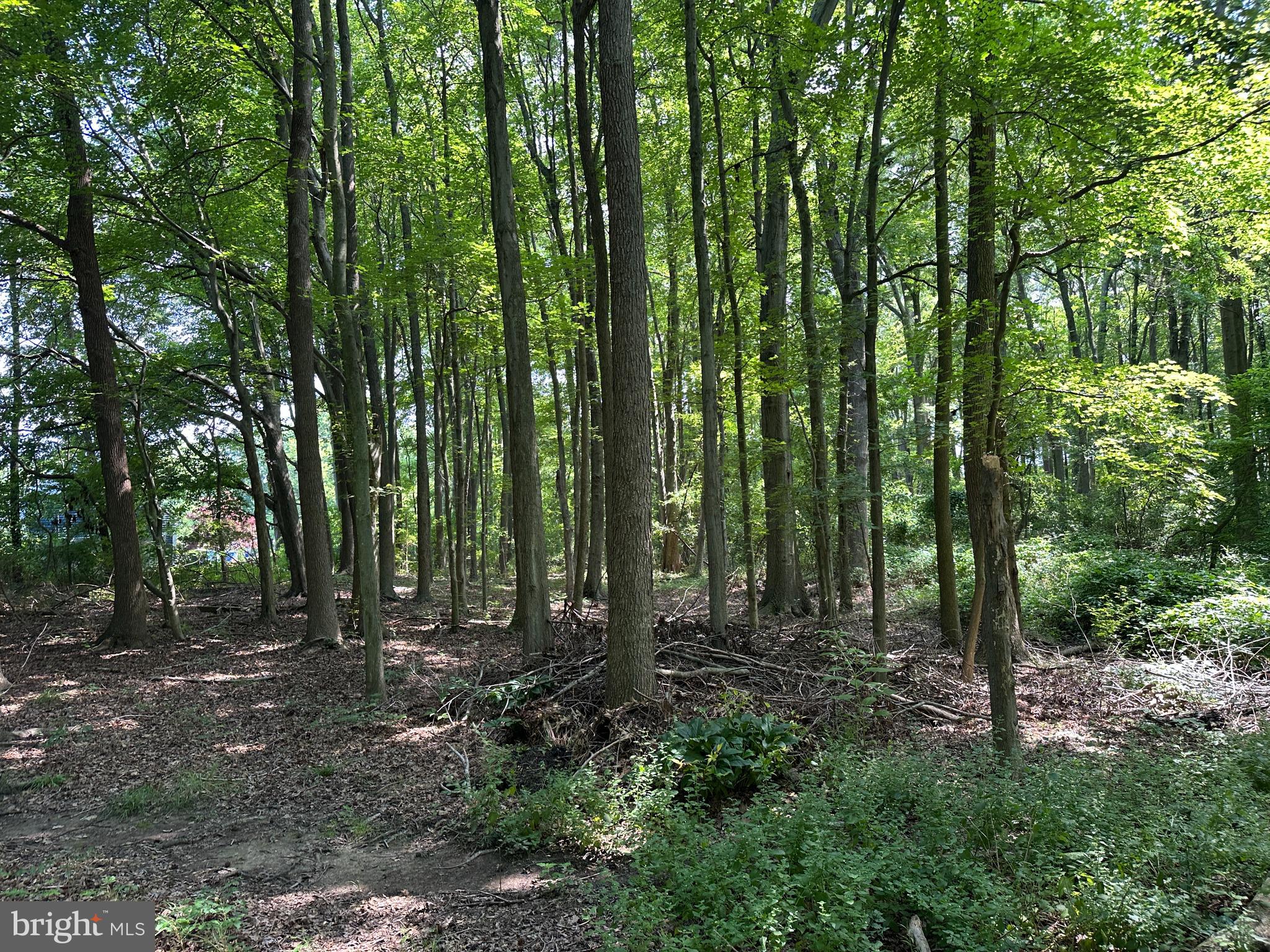 CHESAPEAKE ESTATES - Land