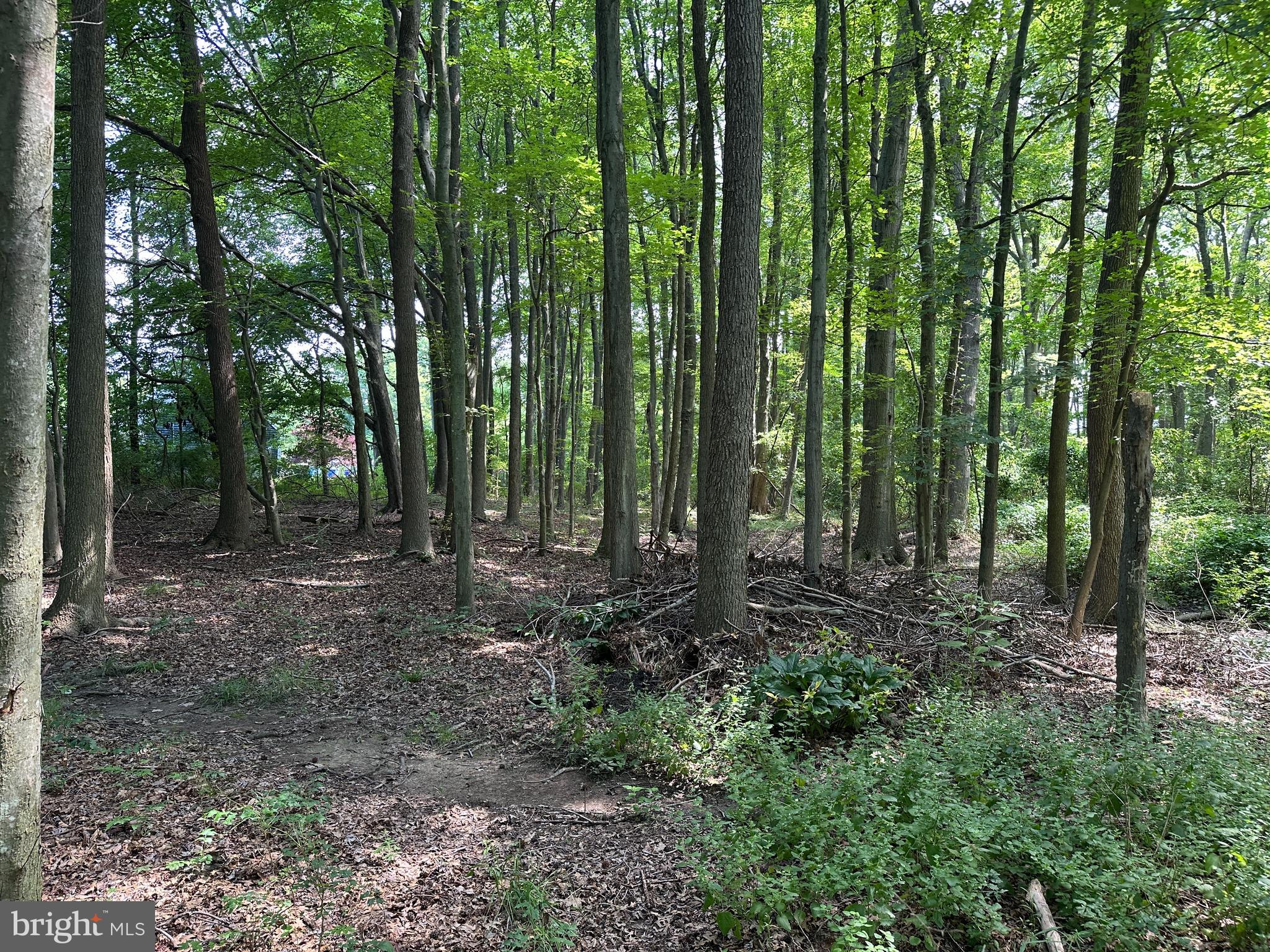 Lot 7 MAPLE DRIVE LOT 7