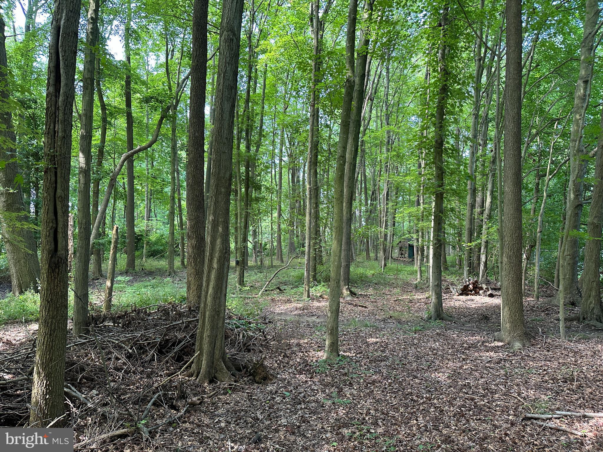 Lot 7 MAPLE DRIVE LOT 7