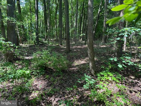 Lot 7 MAPLE DRIVE LOT 7 STEVENSVILLE MD 21666