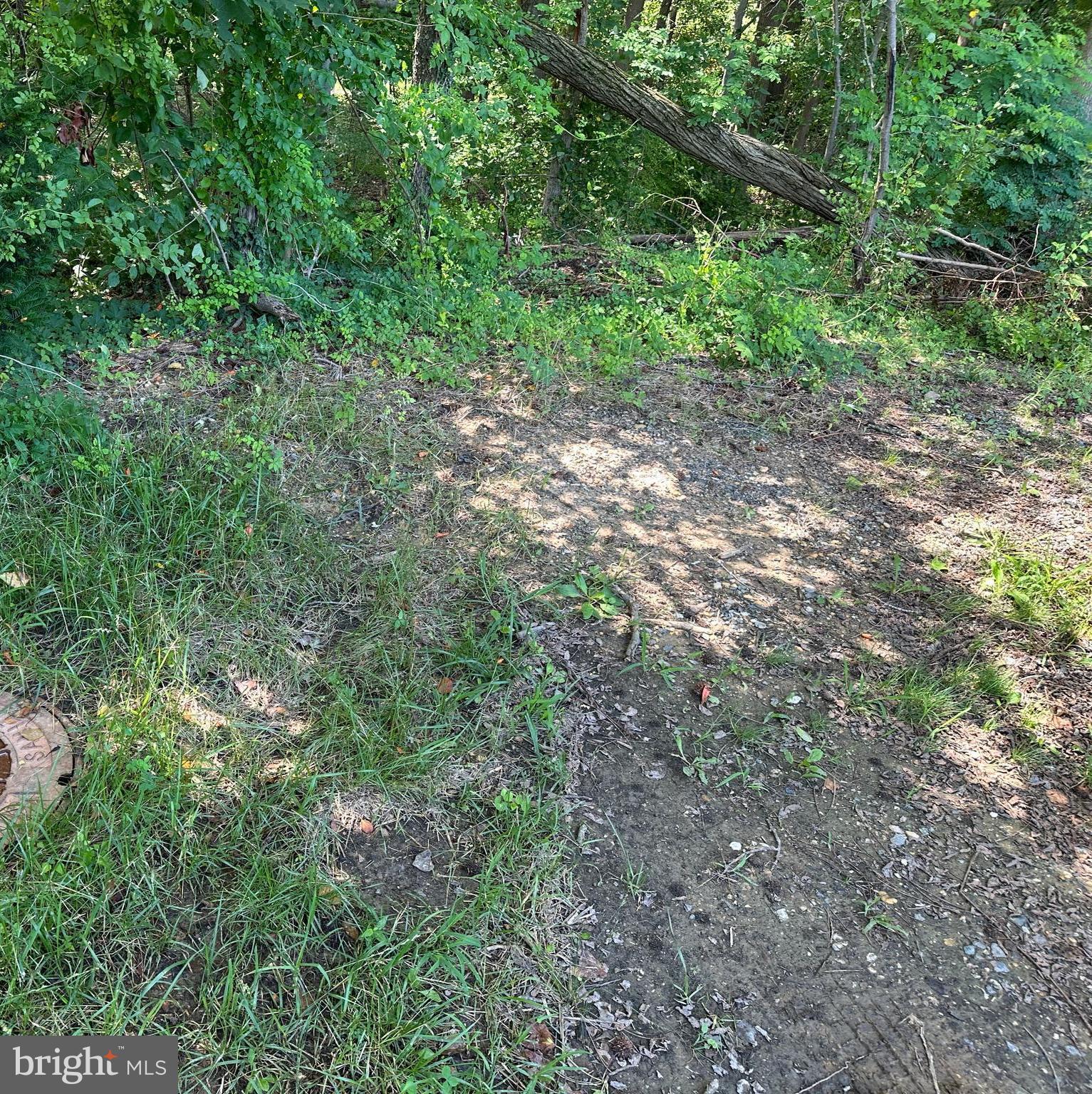 CHESAPEAKE ESTATES - Land