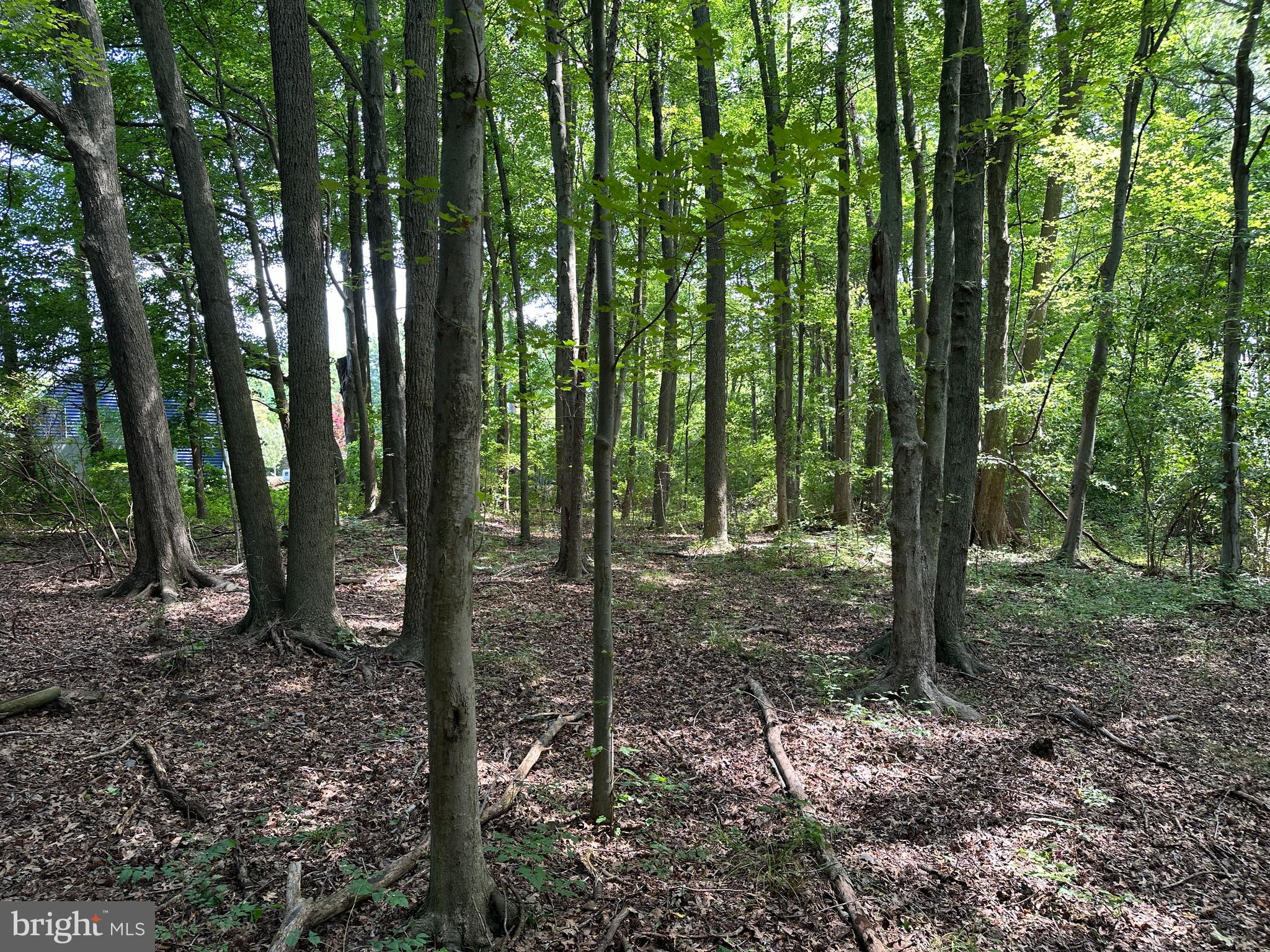 Lot 7 MAPLE DRIVE LOT 7