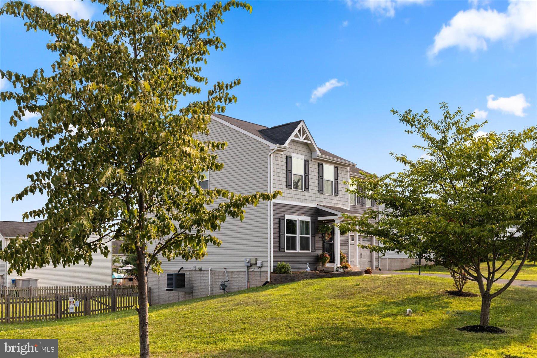 2311 BUTTERNUT