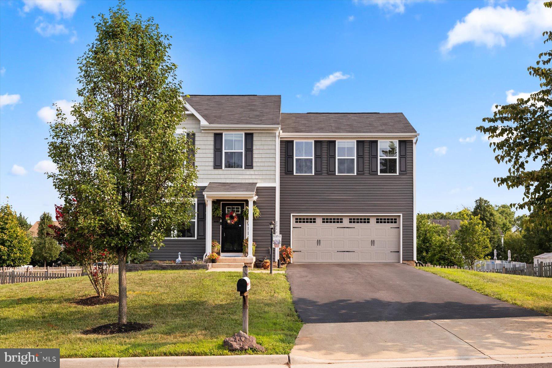 2311 BUTTERNUT