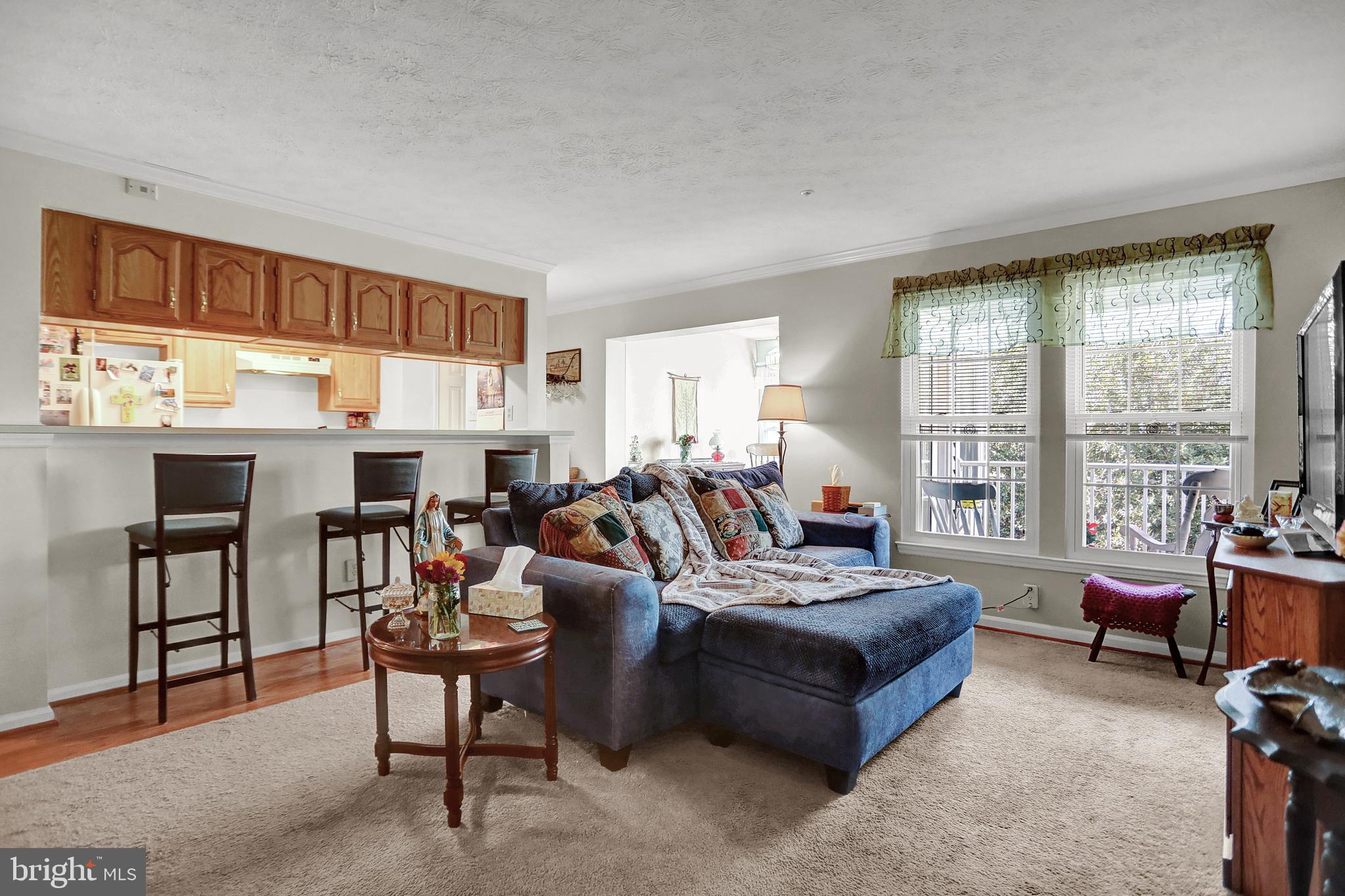 SOUTHFIELD CONDO - Residential