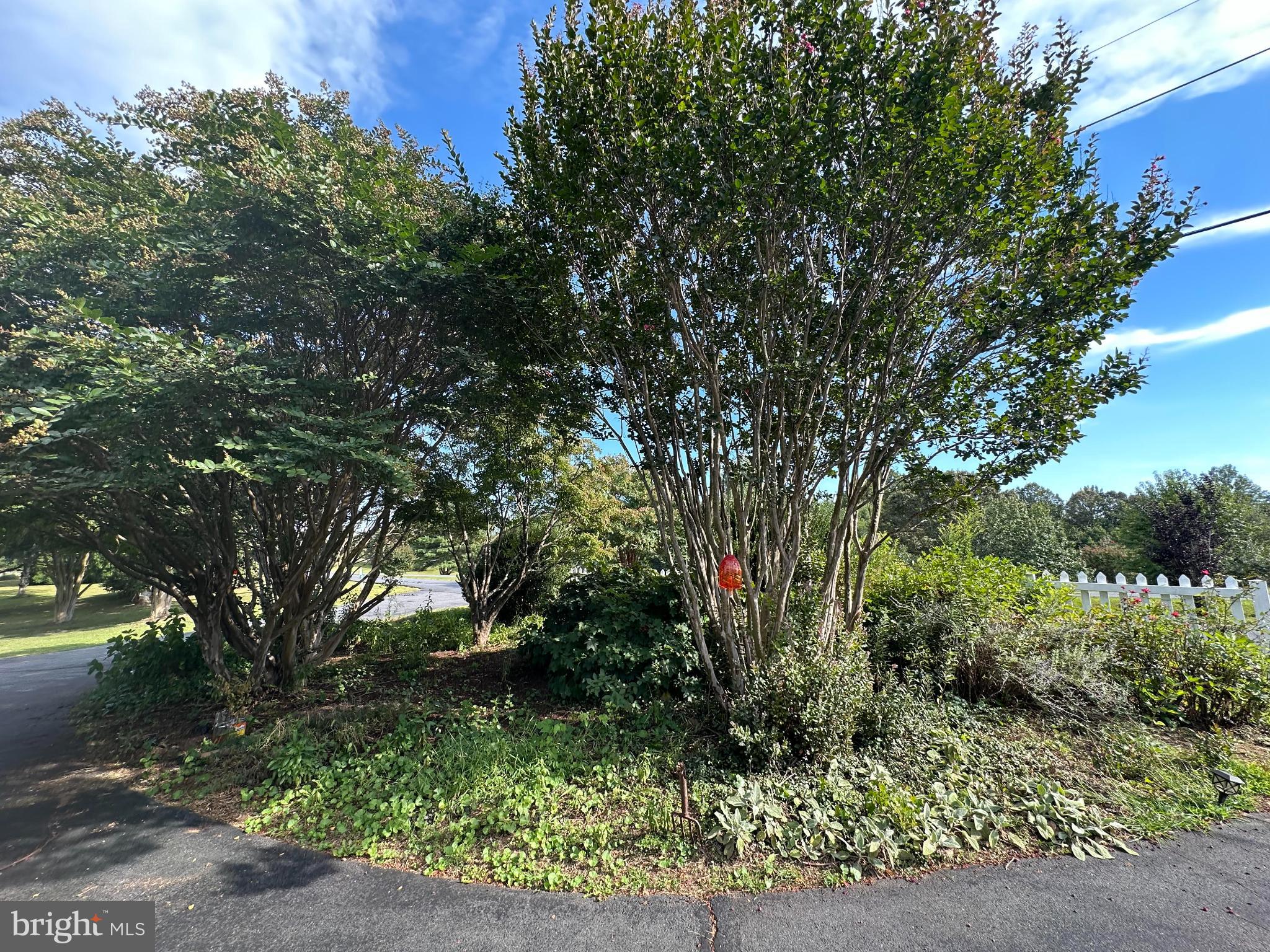 MALVERN OF MADISON - Residential