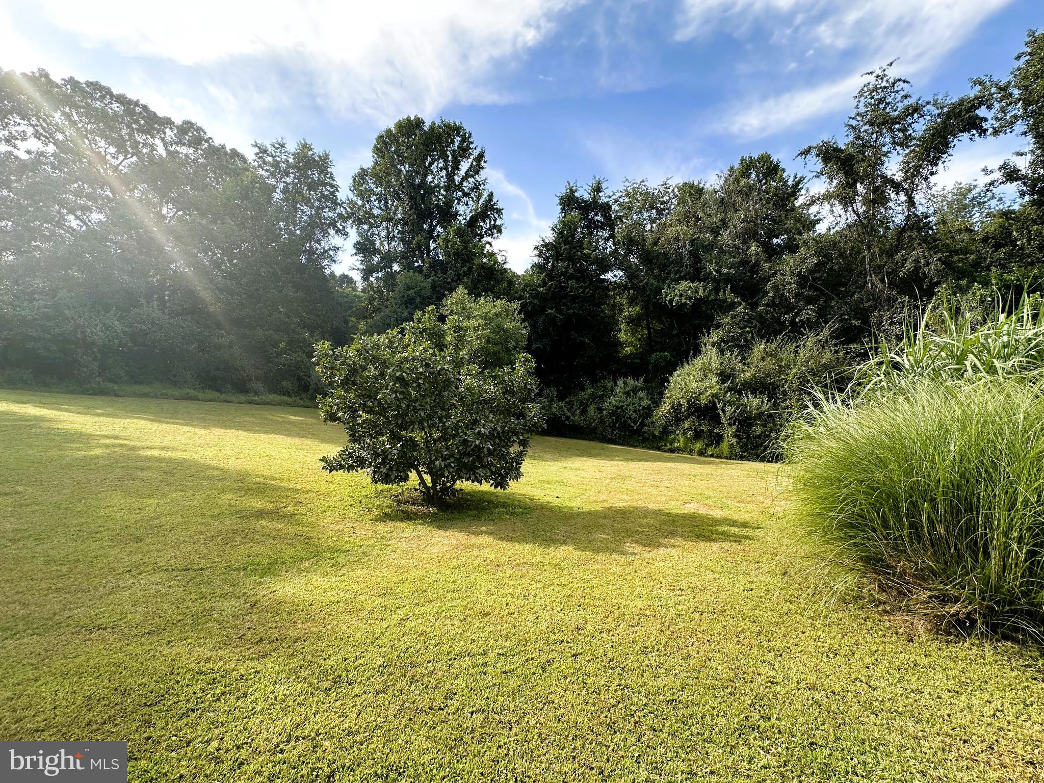 MALVERN OF MADISON - Residential