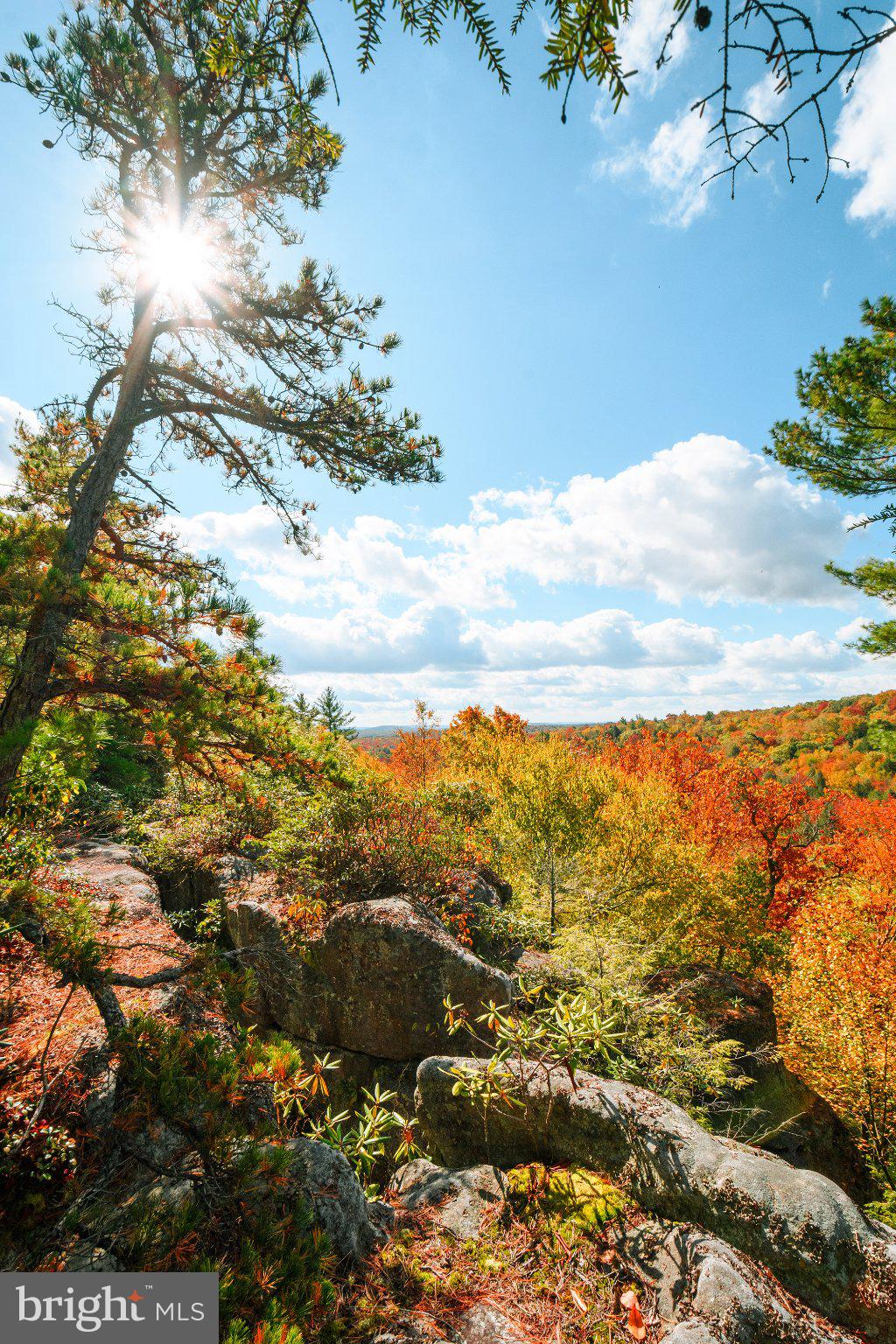 YOUGHIOUGHENY MOUNTAIN - Land