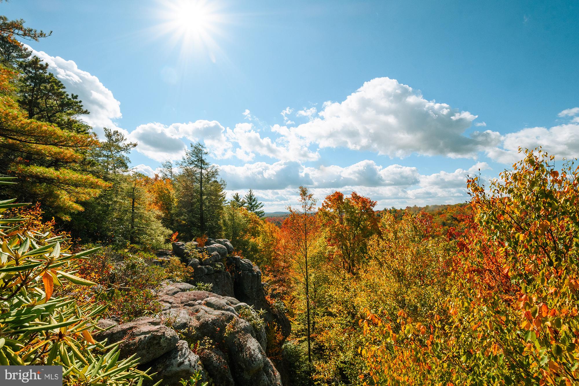 YOUGHIOUGHENY MOUNTAIN - Land