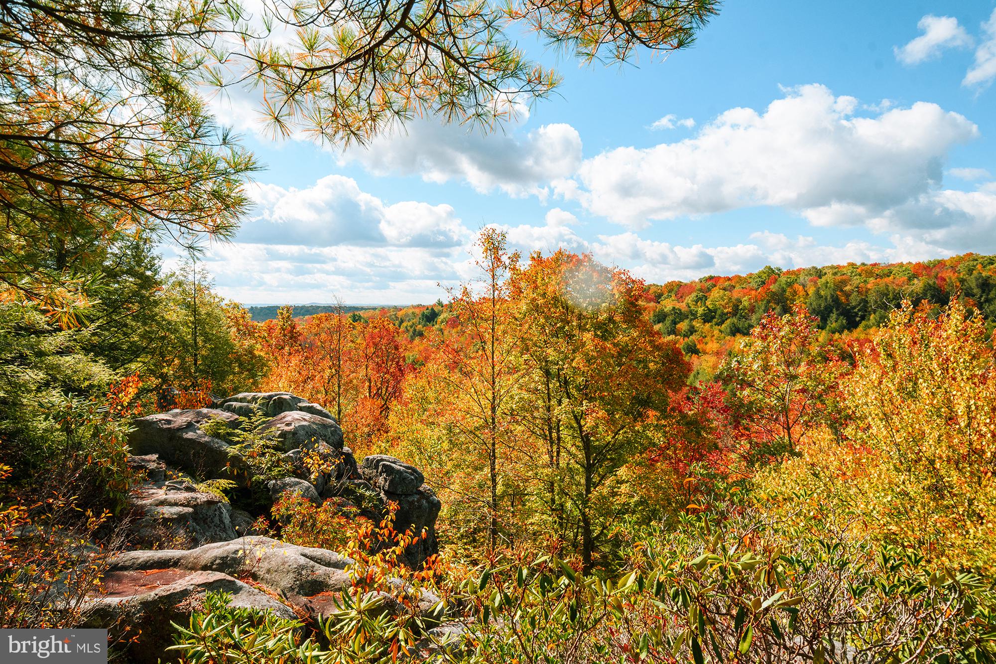 YOUGHIOUGHENY MOUNTAIN - Land