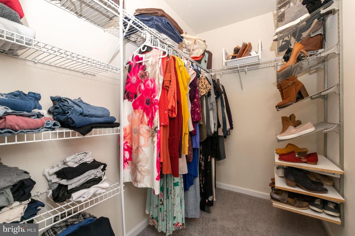 TANYARD SPRINGS - Residential Lease